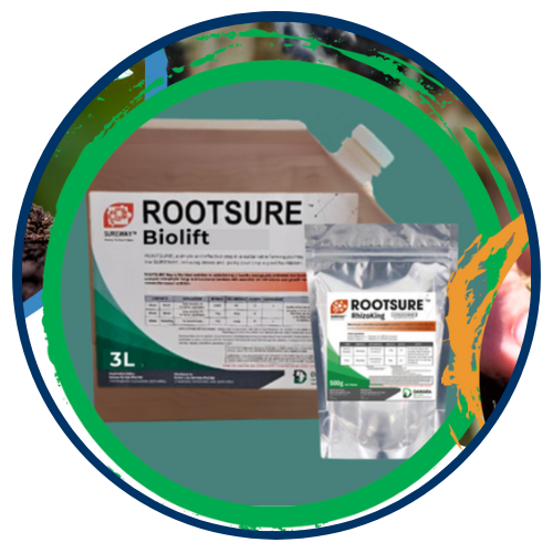 RootSure